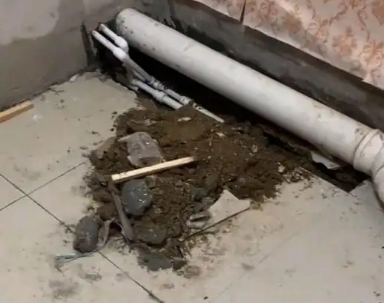 明水卫生间漏水检测哪家好